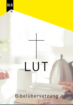 LUTHER 2017
